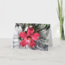 Zoek naar hibiscus kaarten Bloesem