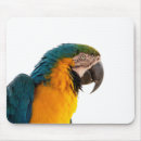 Zoek naar ara muismatten Kleurrijk