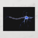 Zoek naar neuronen posters Horizontaal