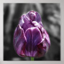 Zoek naar tulips posters Voor haar