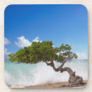 Zoek naar aruba onderzetters Eiland