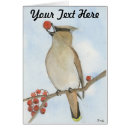 Zoek naar ceders kaarten Wild