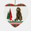 Zoek naar labradoodle ornamenten Kerst