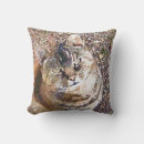 Zoek naar tabby cat kussens Feline