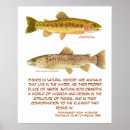 Zoek naar forel posters Zalm