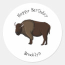 Zoek naar amerikaanse bizon stickers Buffel