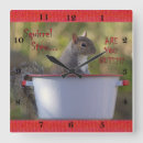 Zoek naar rode eekhoorn klokken Grappig