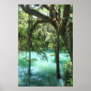 Zoek naar springt posters Water