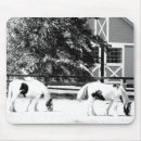 Zoek naar zwart paard muismatten Pony