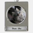 Zoek naar silver cat ornamenten Kat