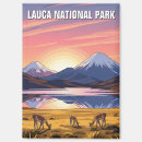 Zoek naar alpaca magneten Andes