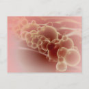 Zoek naar microscopisch briefkaarten Vergroting