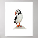 Zoek naar papegaaiduiker kunst Vogel