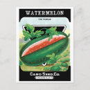Zoek naar watermeloen briefkaarten Vintage