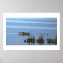 Zoek naar wasbeer posters Fotografie