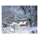 Zoek naar eenzame boom kunst Landschap