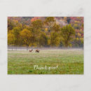 Zoek naar eland briefkaarten Herfst