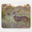 Zoek naar staart muismatten Dag