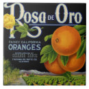 Zoek naar rosa tegels Boerderij