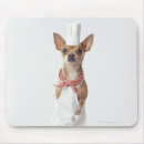 Zoek naar chihuahua hond muismatten Humor