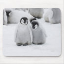 Zoek naar keizer pinguïn muismatten Wilde dieren