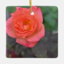 Zoek naar bloed ornamenten Bloem