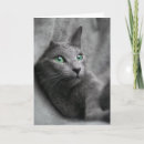 Zoek naar kat groene ogen kaarten Blauw