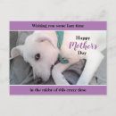 Zoek naar lazy briefkaarten Puppy