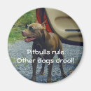 Zoek naar pitbull magneten Humor