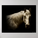 Zoek naar zwart wit dieren posters Paarden