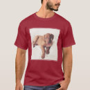 Zoek naar vizsla hond kleding Schattig