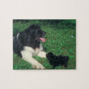 Zoek naar landseer puzzels Hond