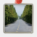 Zoek naar yellowstone ornamenten Usa