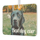 Zoek naar auto interieur accessoires Elk persoon