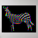 Zoek naar regenboog zebra posters Zebras