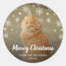 Zoek naar katten afbeeldingen stickers Schattig