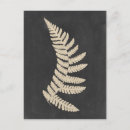Zoek naar fern briefkaarten Botanisch