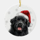 Zoek naar newfoundlander geschenken Kerstmis