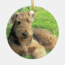 Zoek naar airedale ornamenten Hond