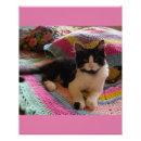 Zoek naar roze kat posters Voor kinderen
