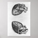 Zoek naar cardiologie kunst Gezondheid