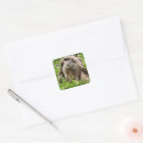 Zoek naar bosmarmot stickers Natuur