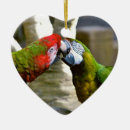 Zoek naar parrot ornamenten Papegaaien