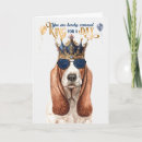 Zoek naar basset hond kaarten Voor hem