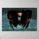 Zoek naar vogelveren posters Voor iedereen