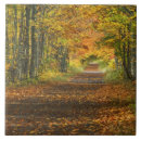 Zoek naar meer michigan tegels Niemand