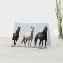 Zoek naar hengst kaarten Ranch