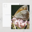 Zoek naar vlinder paarse achtergrond posters Elk persoon