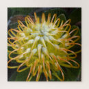 Zoek naar exotic puzzels Foto
