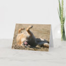 Zoek naar duitse herdershonden kaarten Hoektand